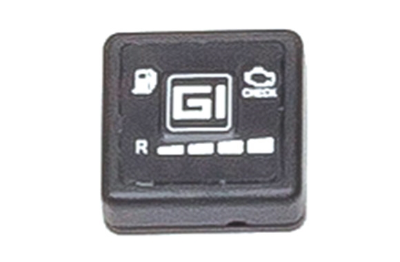 GI F3 SWITCH