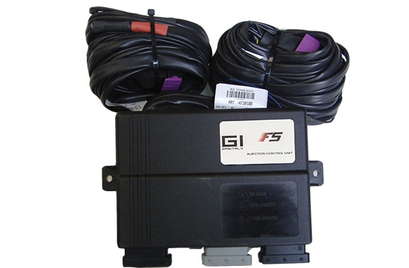 GASITALY ECU SET 10 CYL. F5