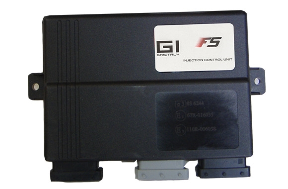 GI F5 10 CYL ECU